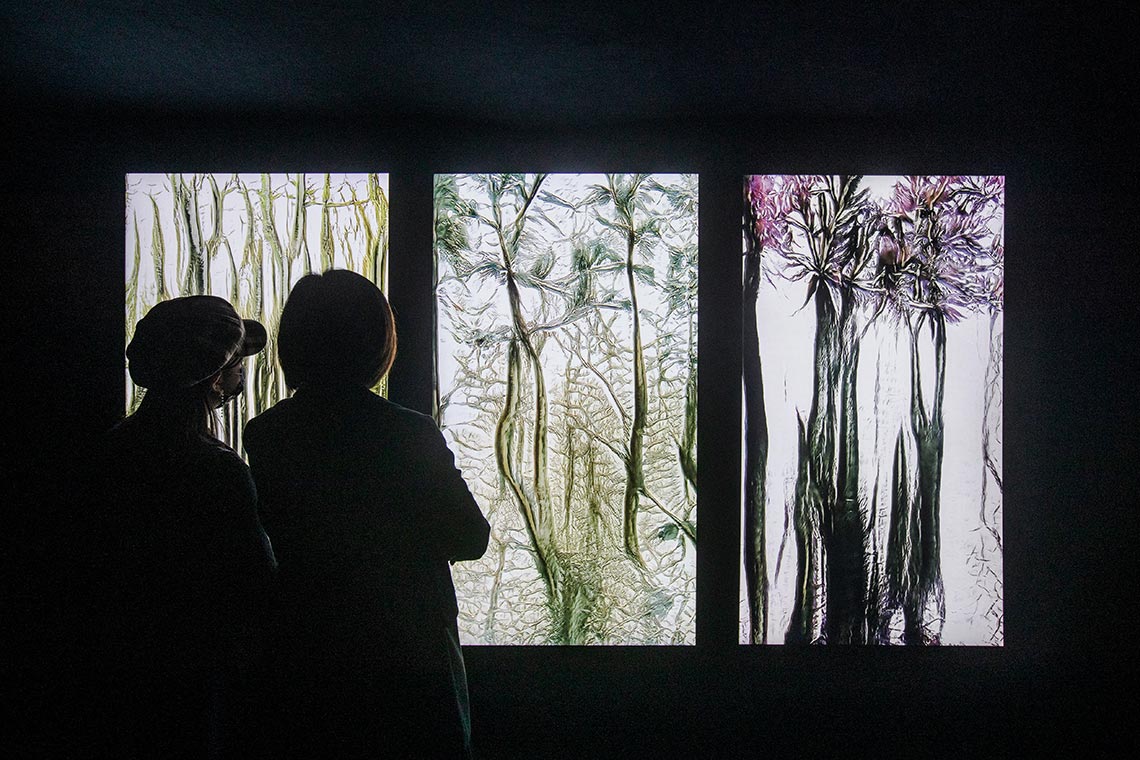 Installazione audiovisiva Artificial Botany, a cura di fuse*