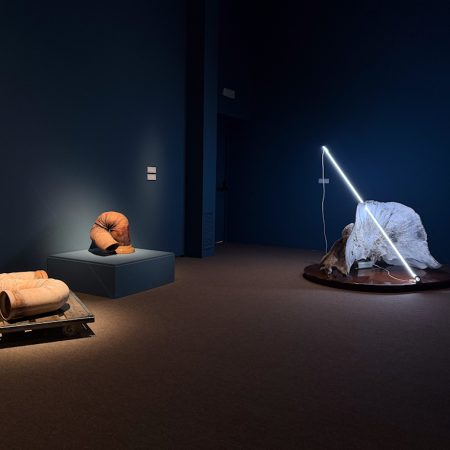 sala con opere di arte contemporanea ispirate al mito della balena