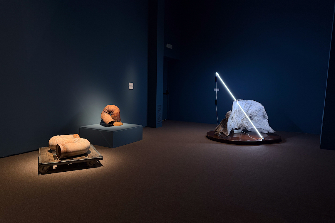 sala con opere di arte contemporanea ispirate al mito della balena